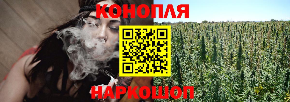 Шишки марихуана план Балтийск